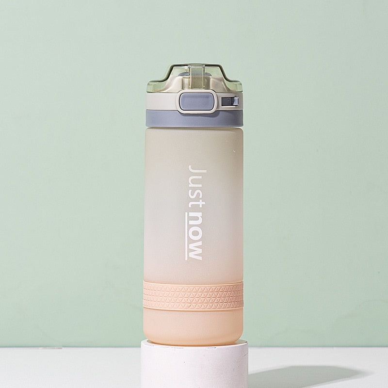 500ml/600ml JUST NOW Water Bottles With Straw